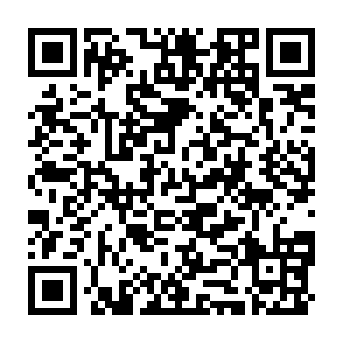 QR code for PZZ 312