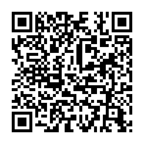 QR code for plate QDJ 602