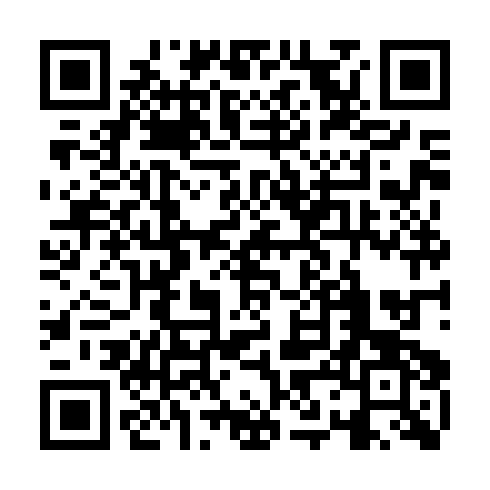 QR code for QDL 295