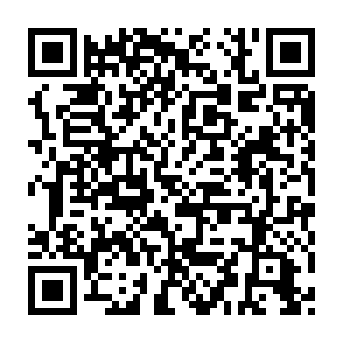 QR code for plate QDQ 493
