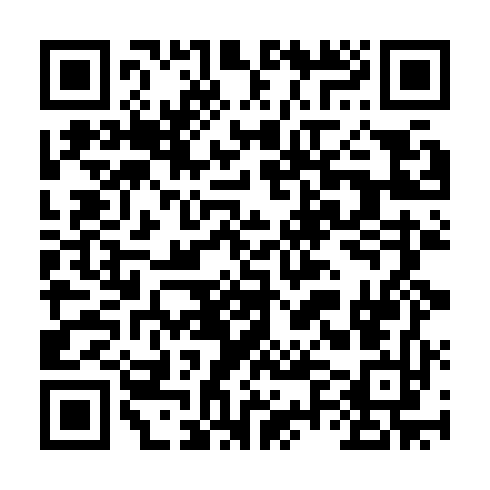 QR code for QGG 161