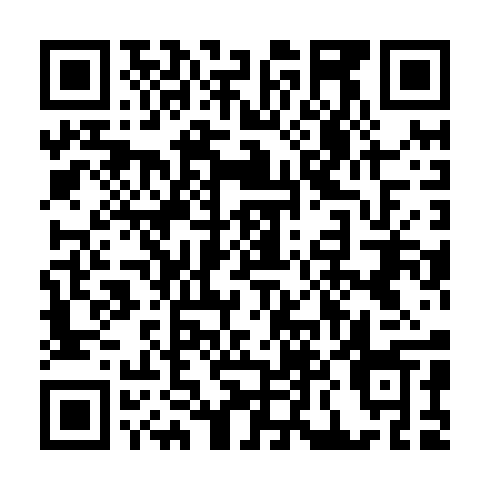 QR code for QGO 295