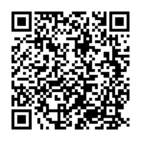 QR code for QGS384