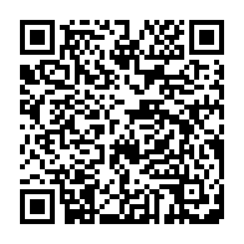 QR code for QIJ 385