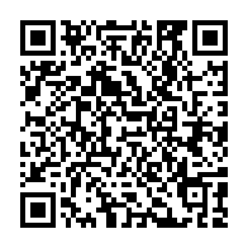 QR code for plate QIN 787