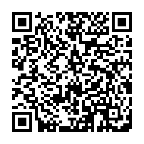 QR code for QLP 300