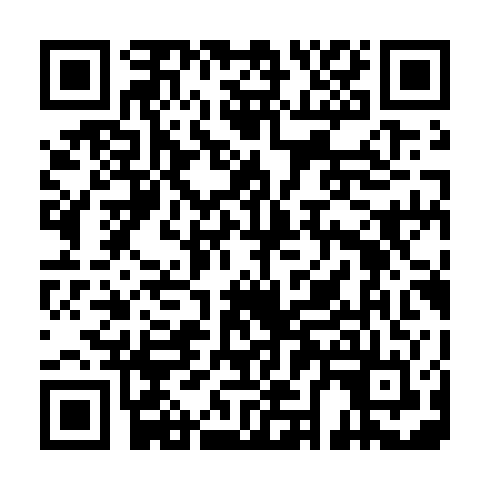 QR code for plate QLQ 313