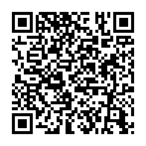 QR code for plate QLS 384