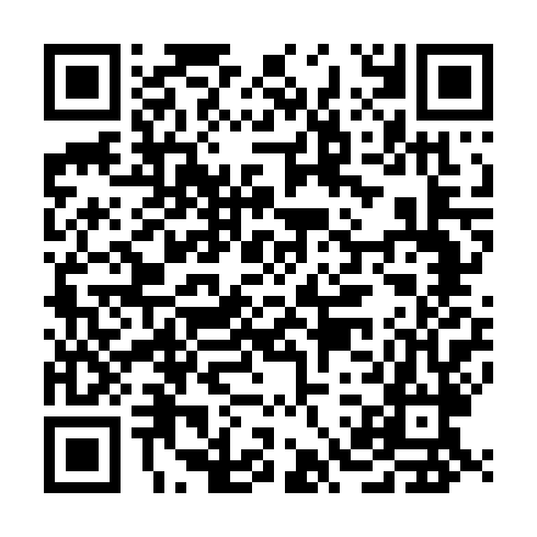 QR code for QLT 256