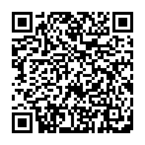 QR code for QPI 411