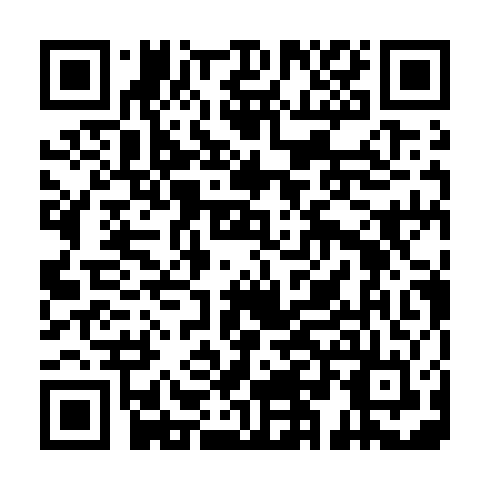 QR code for plate QPP 347