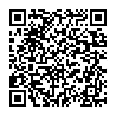 QR code for QPR 029