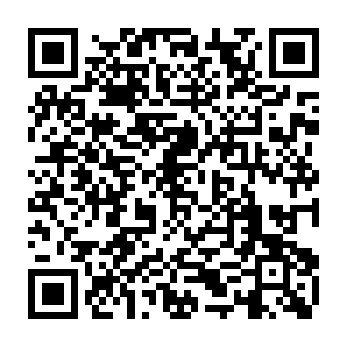 QR code for QPT 234