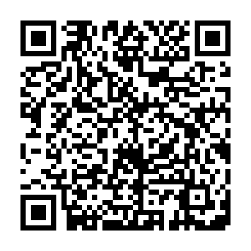 QR code for QTD 313