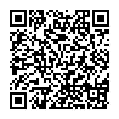 QR code for QYS 971
