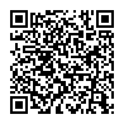 QR code for QZL 119