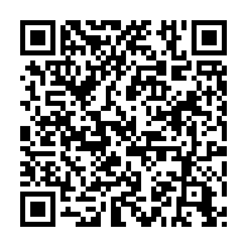 QR code for QZN 141