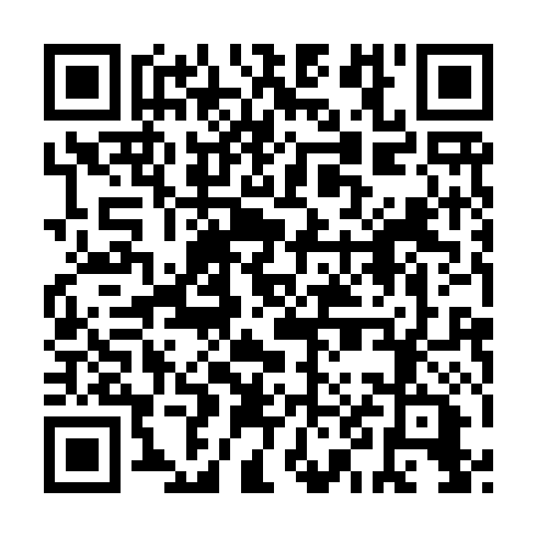 QR code for QZR919
