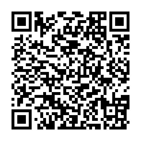 QR code for RAL 307
