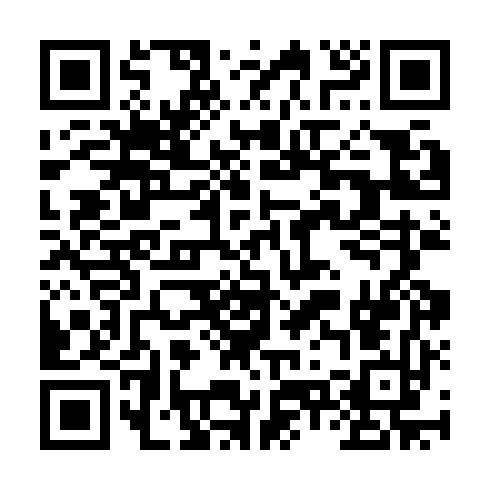 QR code for RAY 611