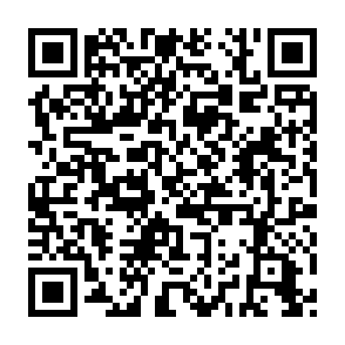QR code for plate RAY 486