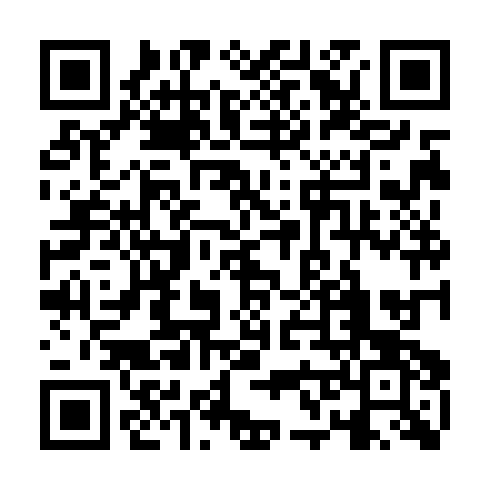 QR code for RAZ 533