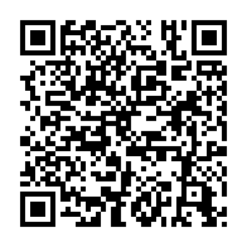 QR code for plate RCH 385
