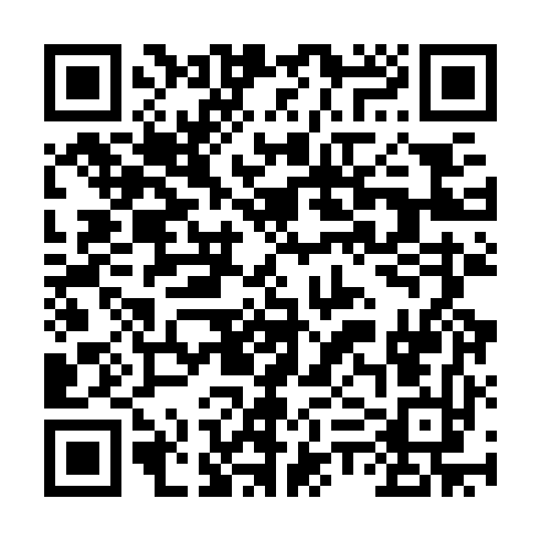 QR code for plate REM 036