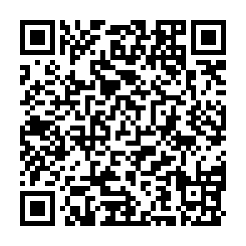 QR code for REV 384