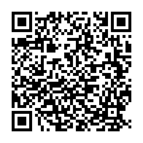 QR code for REV 393