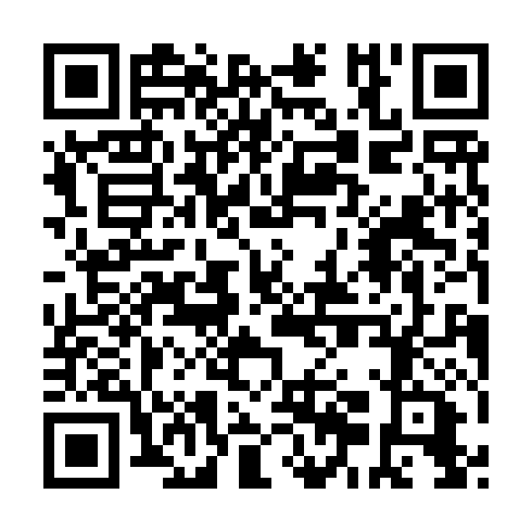 QR code for plate RGI 339