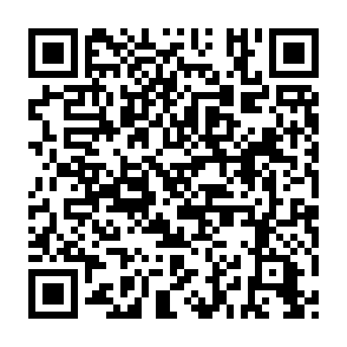 QR code for RIR 311