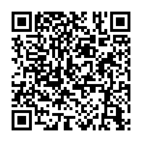 QR code for RIS 325