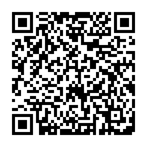 QR code for RIW 313