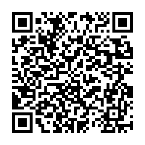 QR code for RLM 493