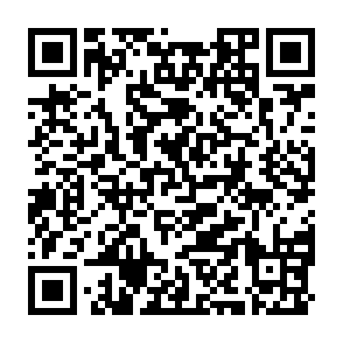 QR code for plate RNB 381