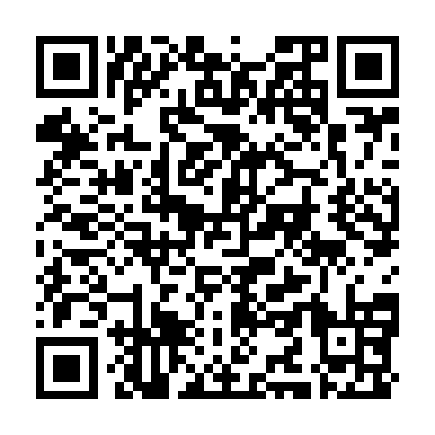 QR code for plate RNI 403