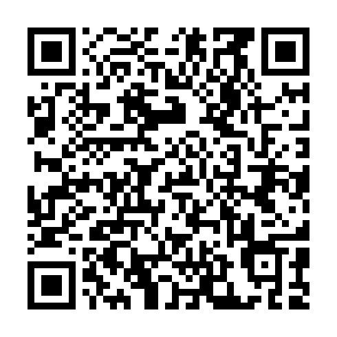 QR code for plate RNZ 411