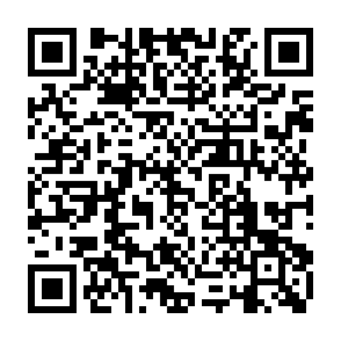 QR code for ROG 991