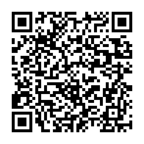 QR code for RUB 029