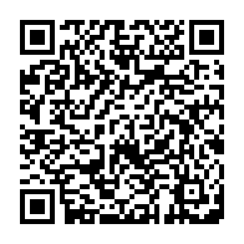 QR code for RUC 771