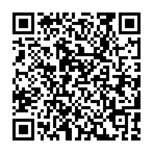 QR code for plate RUN 863