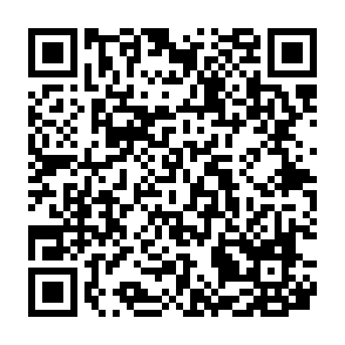 QR code for plate RUS 336