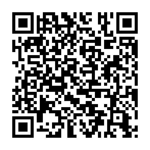 QR code for plate RVI 333