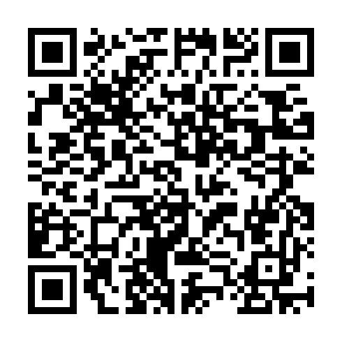 QR code for RYE382