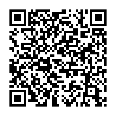 QR code for plate RYN 491