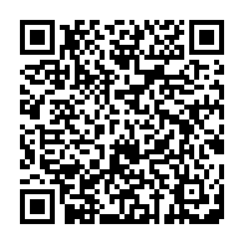 QR code for RYR 737