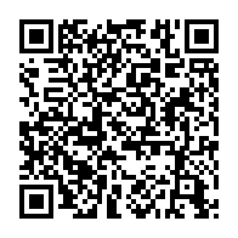 QR code for RYS 991