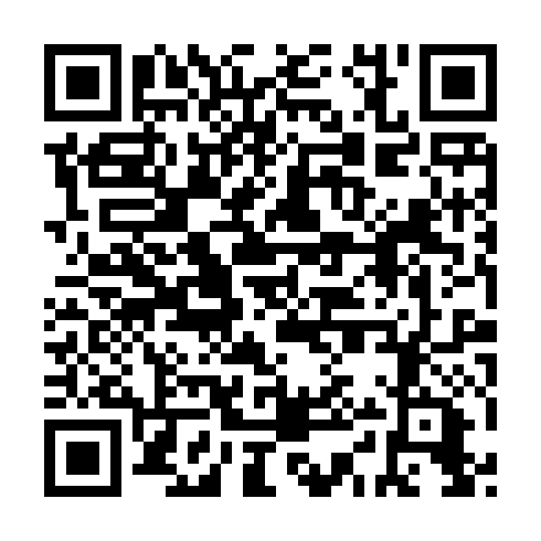 QR code for plate RYX 506