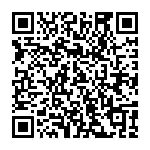 QR code for RYY 295